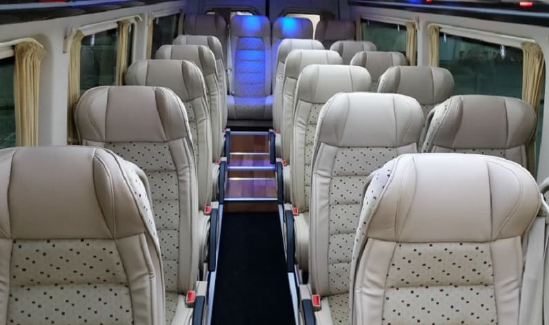 Italy: Coach company in Tuscany in Tuscany and Carrara